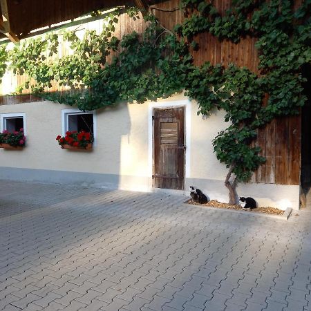 Landhof Ella - Ferienhaus Vor Den Toren Salzburgs Petting Exterior photo
