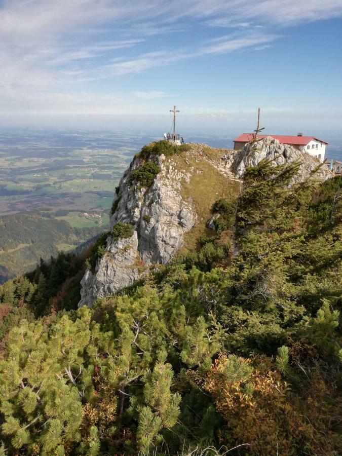 Landhof Ella - Ferienhaus Vor Den Toren Salzburgs Petting Exterior photo